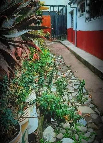 Sumaq Quilla Con Bano Privado En Calle San Andres Centro